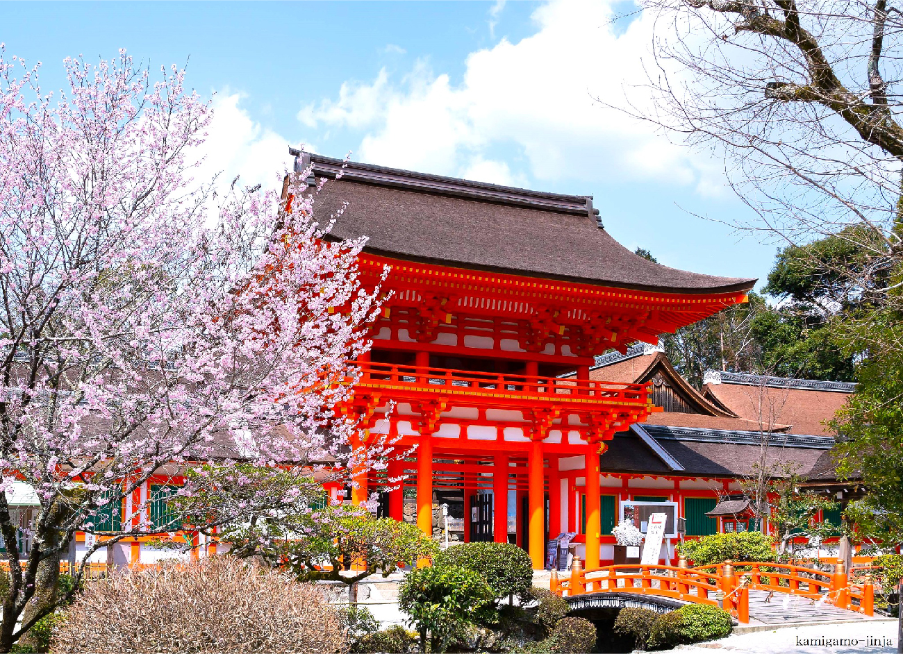 世界文化遺產的春日氣息～京都最悠久神社－上賀茂神社春限定櫻花香御守