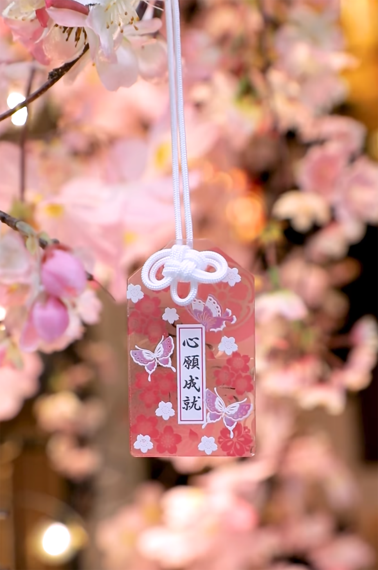 莓好櫻緣】櫻花盛開的粉色蝶舞龜岳林萬松寺春季限定御守＆御朱印