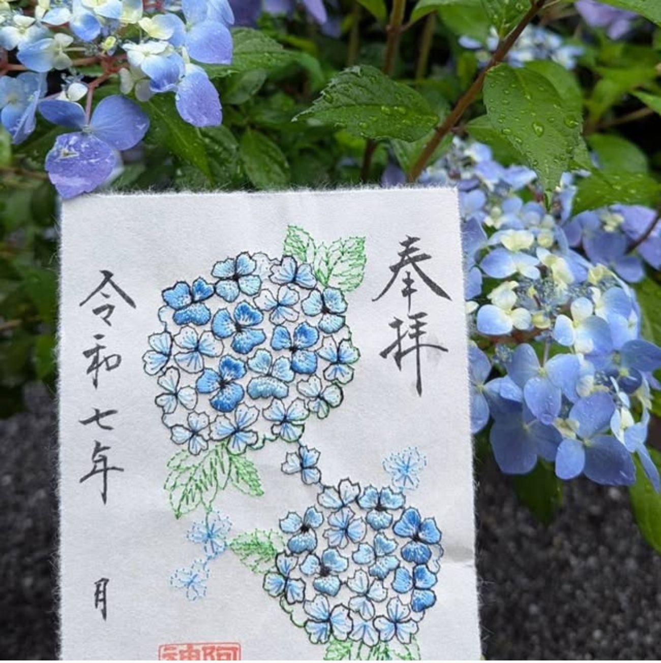 阿佐ヶ谷神明宮 御朱印 昇龍 限定 紫陽花 八幡神社 きつね 紫陽花盛放的初夏到來！阿佐谷神明宮紫陽花刺繡御朱印&手環御守
